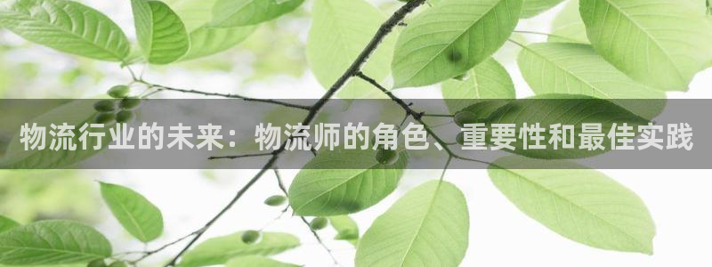 28圈注册网站链接是什么