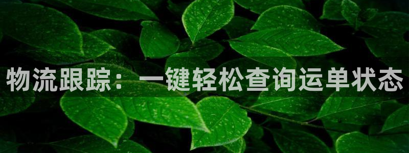 28圈黑平台吗