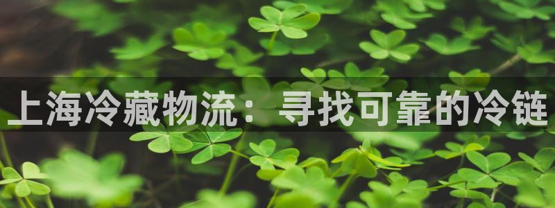 28圈登录用户名登录不上