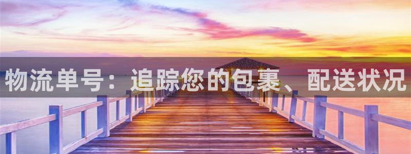 28圈大舞台：物流单号：追踪您的包裹