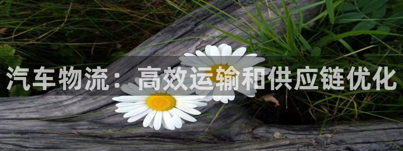 28圈人工客服电话是什么：汽车物流：